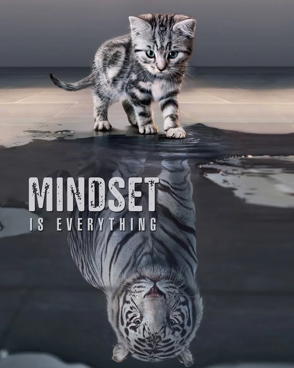 Mindset is Everything - Cat and Tiger Reflection